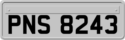 PNS8243