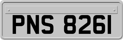 PNS8261