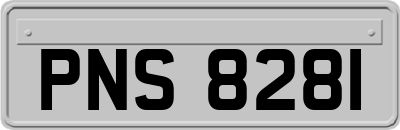 PNS8281