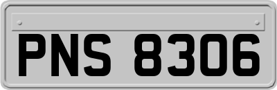 PNS8306