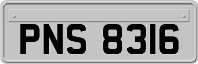 PNS8316