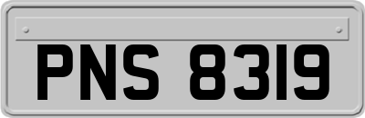 PNS8319