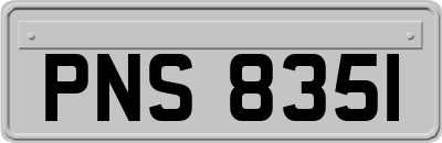 PNS8351