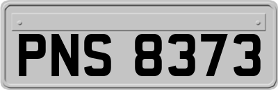 PNS8373