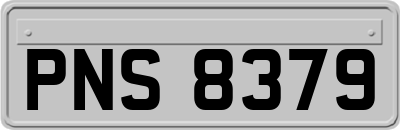 PNS8379