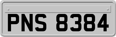 PNS8384