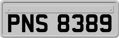 PNS8389