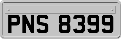 PNS8399