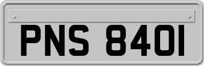 PNS8401