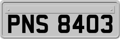 PNS8403