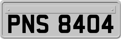 PNS8404