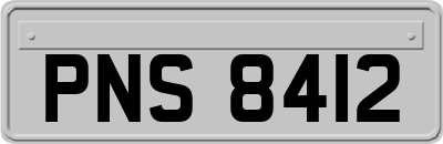 PNS8412