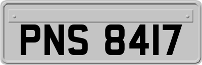 PNS8417