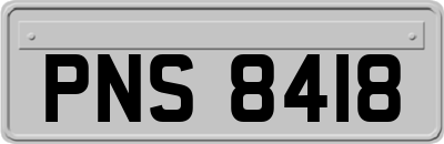 PNS8418