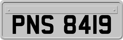 PNS8419