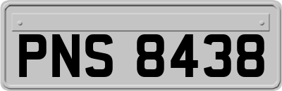 PNS8438