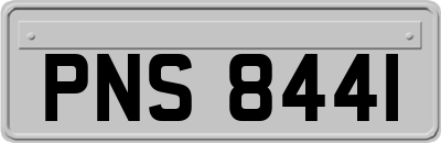 PNS8441