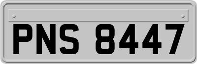 PNS8447