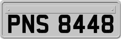 PNS8448