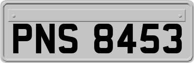 PNS8453