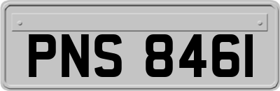 PNS8461