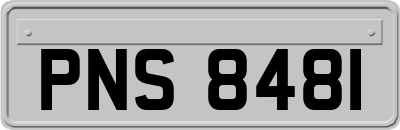 PNS8481