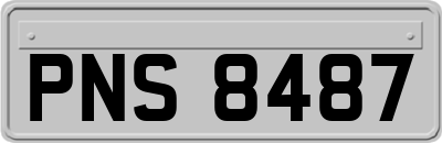 PNS8487