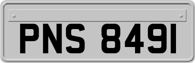 PNS8491