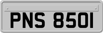 PNS8501