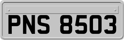 PNS8503