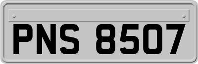 PNS8507