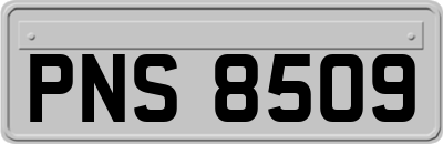 PNS8509