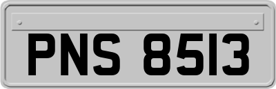PNS8513