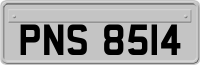 PNS8514