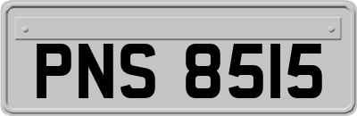PNS8515