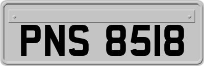 PNS8518