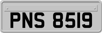 PNS8519