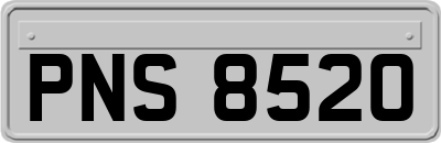 PNS8520