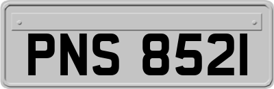 PNS8521