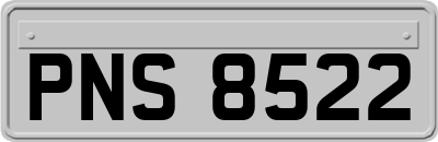PNS8522