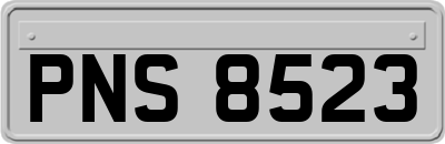 PNS8523