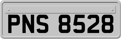 PNS8528