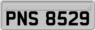 PNS8529