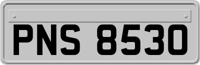 PNS8530