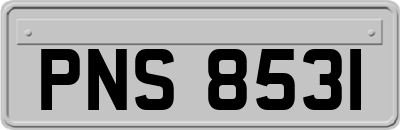 PNS8531