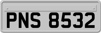 PNS8532