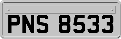 PNS8533