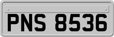 PNS8536
