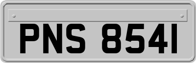 PNS8541