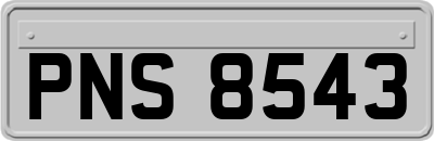 PNS8543